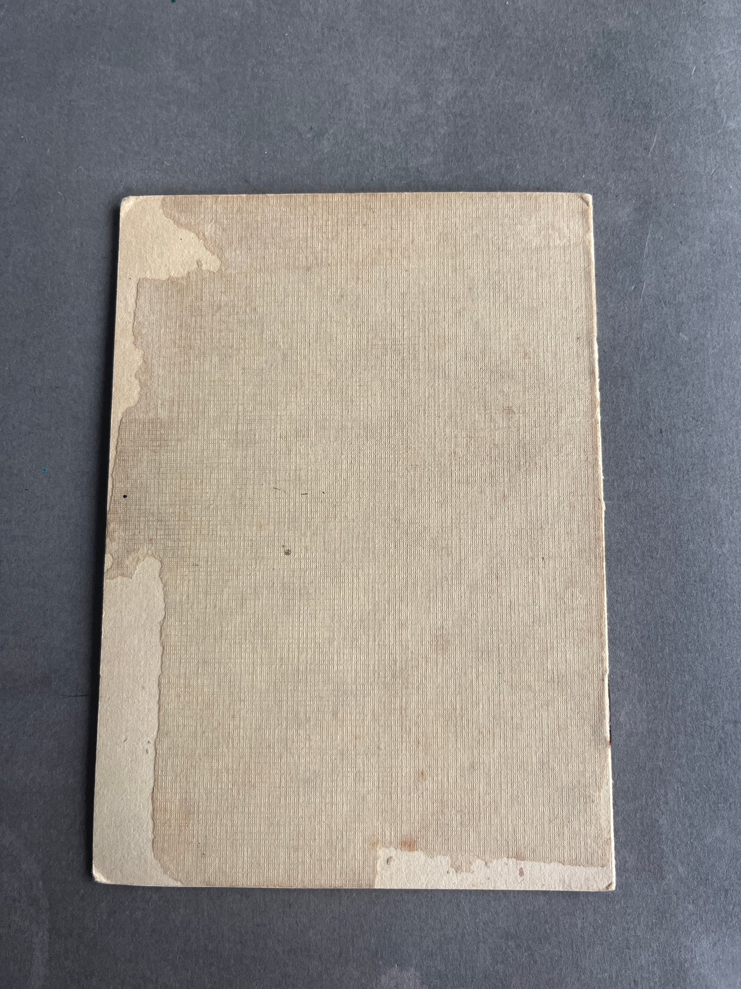 WW2 Tysk RAD "Leibes Erziehung" Medlemsbog. Original.