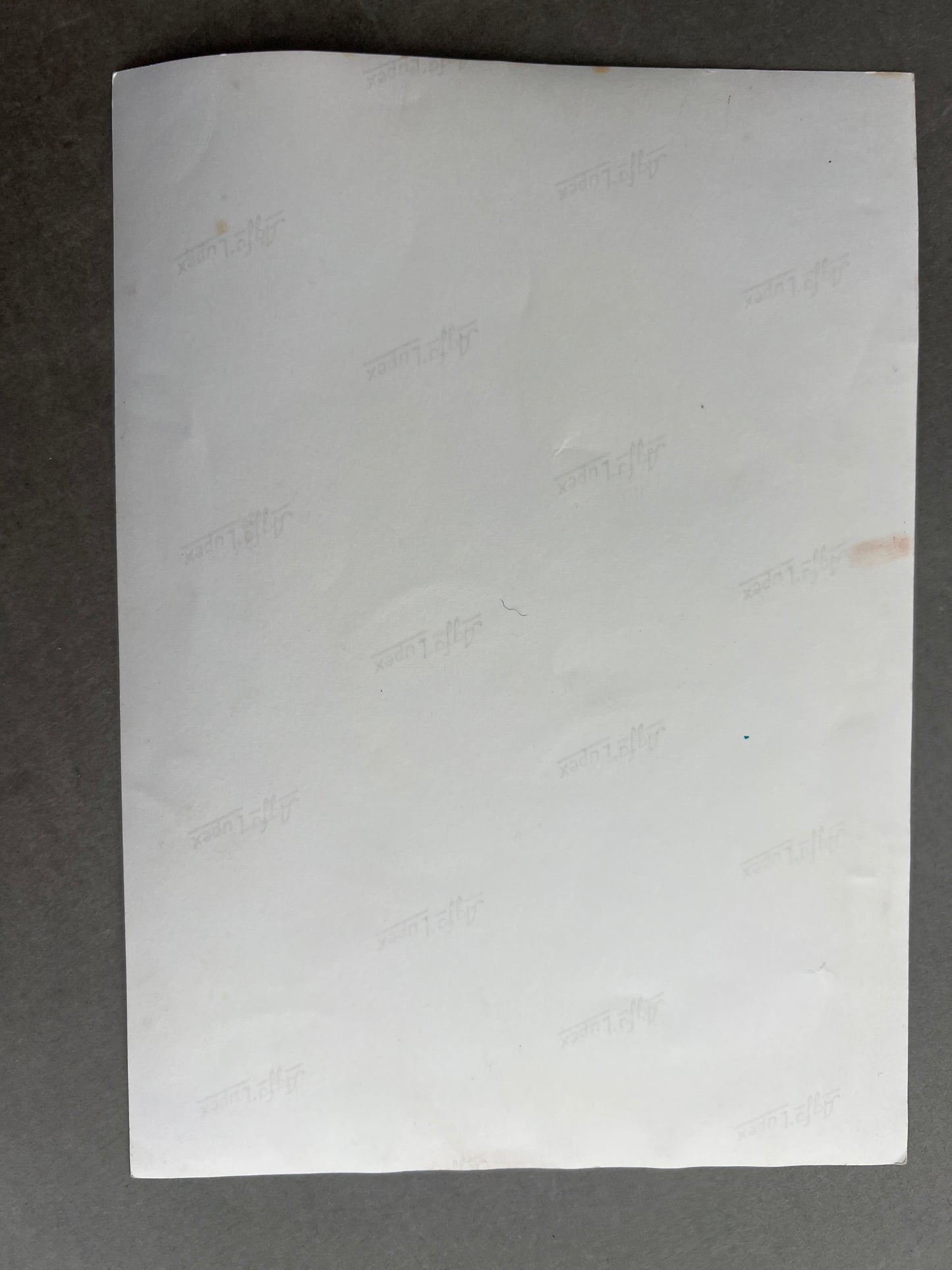 WW2 Tysk Foto. Kuvert-størrelse. Genoptryk.