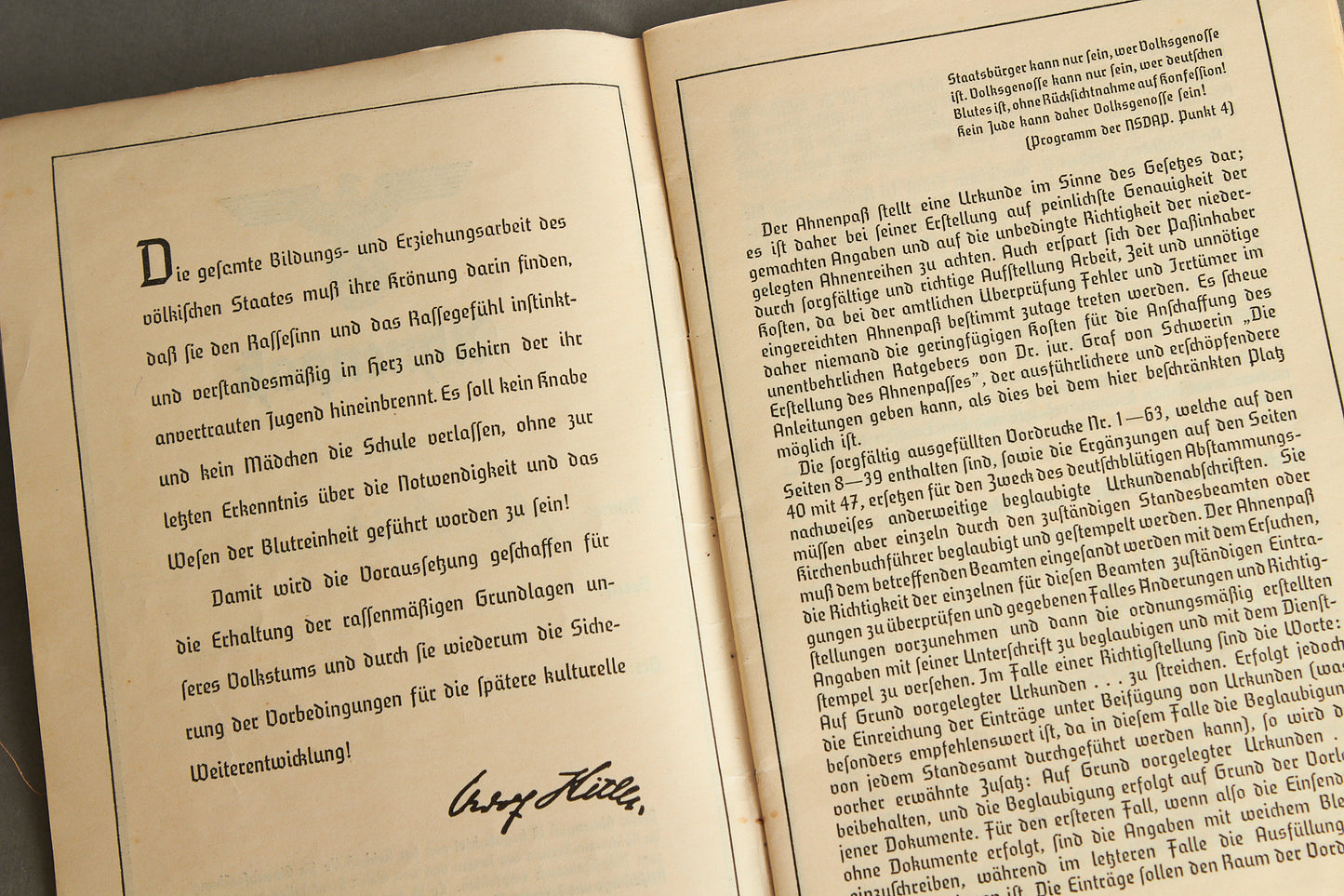WW2 Tysk NSDAP "Ahnenpass" (Stamtavle pas). Original