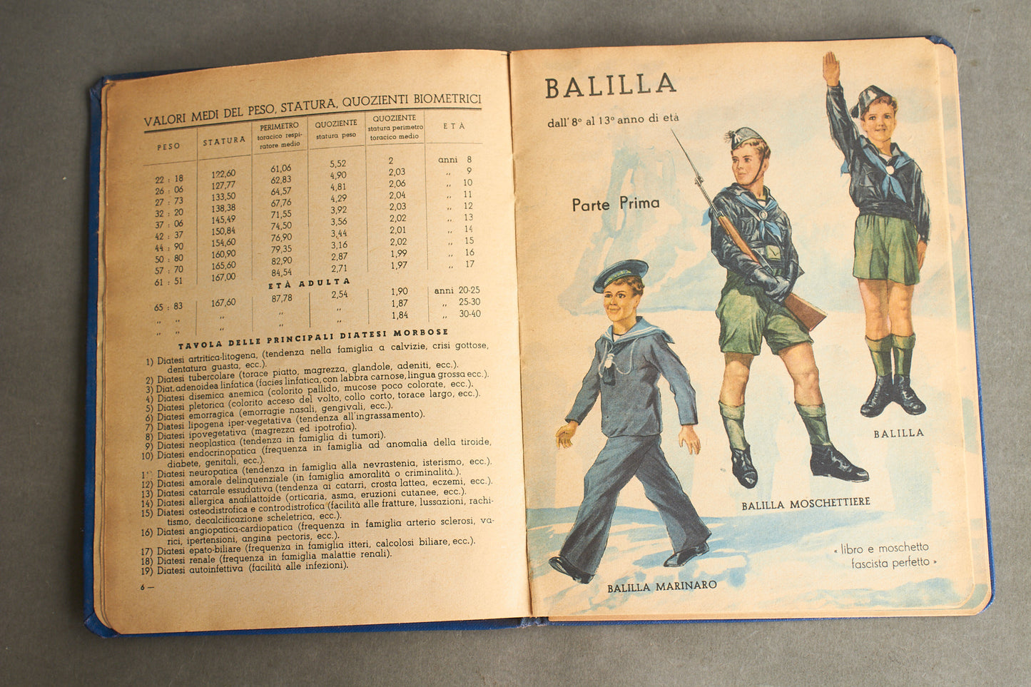 WW2 Italiensk Facist håndbog. Sjælden. Original.