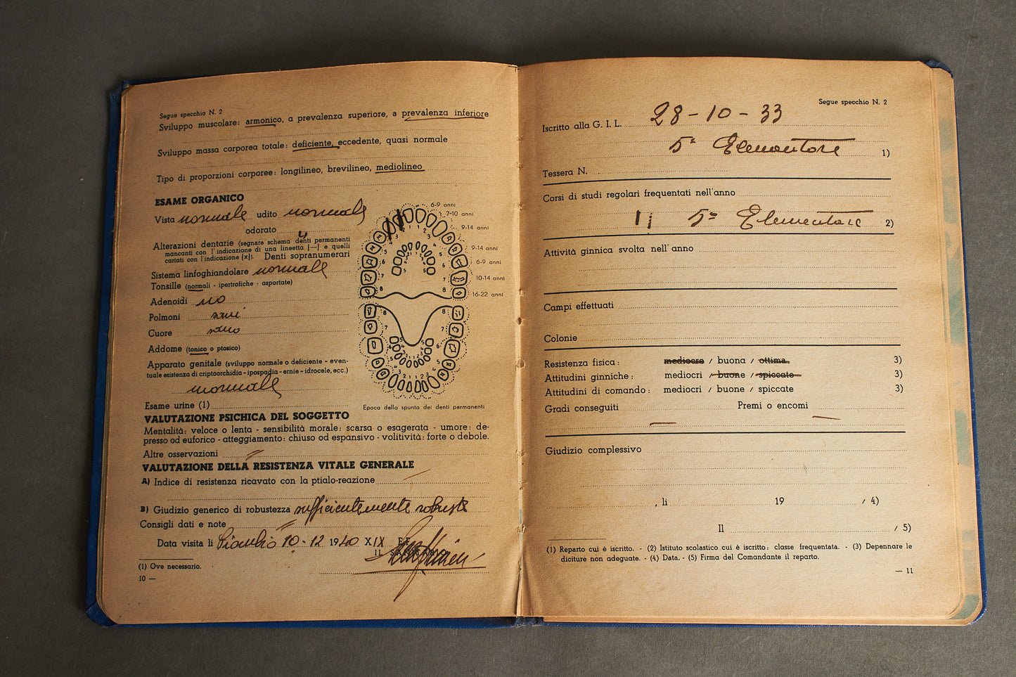 WW2 Italiensk Facist håndbog. Sjælden. Original.