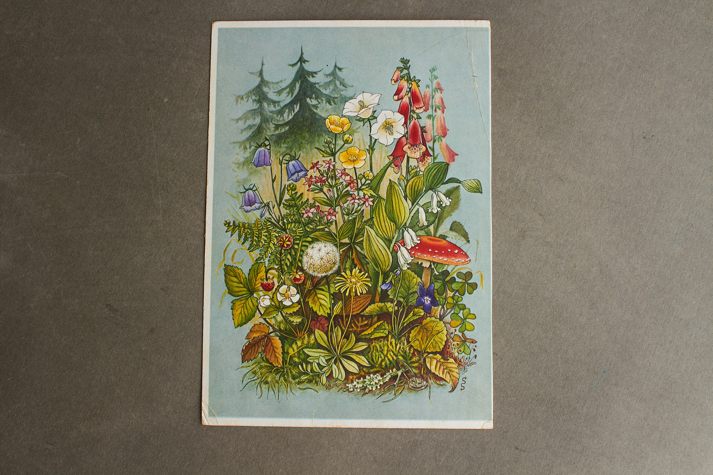 WW2 Tysk Postkort. Original.