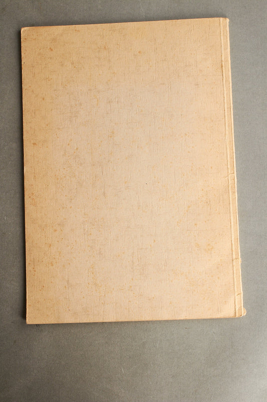 WW2 Tysk Hæfte om Felttoget i Polen. Original.