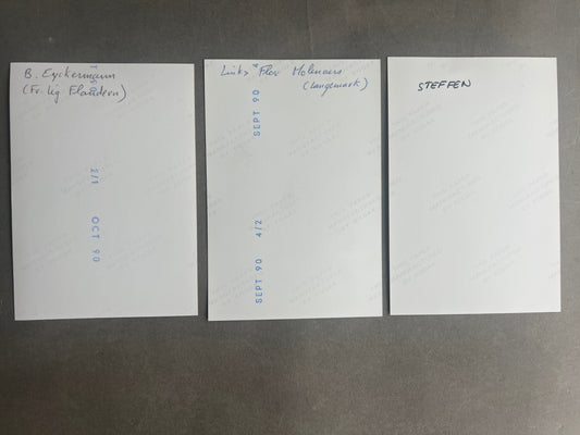 WW2 Tysk Waffen-SS Frivillige fra Belgien/Flandern. Ridderkors modtagere. Navne bagpå. Genoptryk.