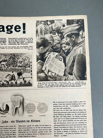 WW2 Tysk Luftwaffe "Der Adler" Blad. Original.