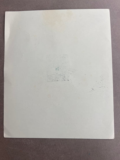 WW2 Tysk NSDAP Frimærke "ark" i anledning af AH fødselsdag. Ses ikke tit. Original.