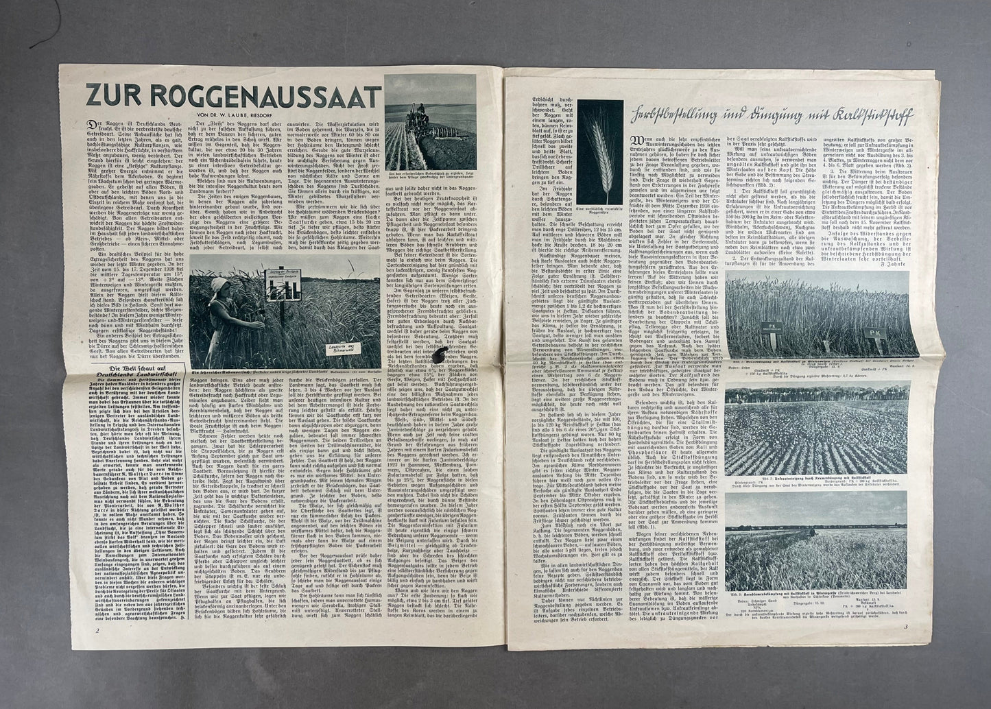 WW2 Tysk "Landbau" / DAF Avis. Original.