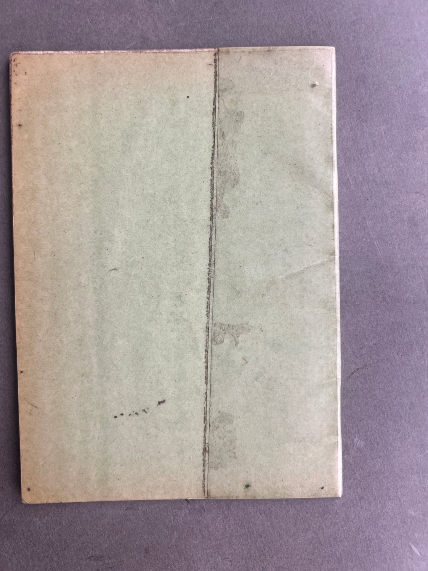 Vesttysk "Polizei Schiessbuch". Original.