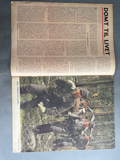 WW2 Tysk/Dansk Signal Blad. Original.