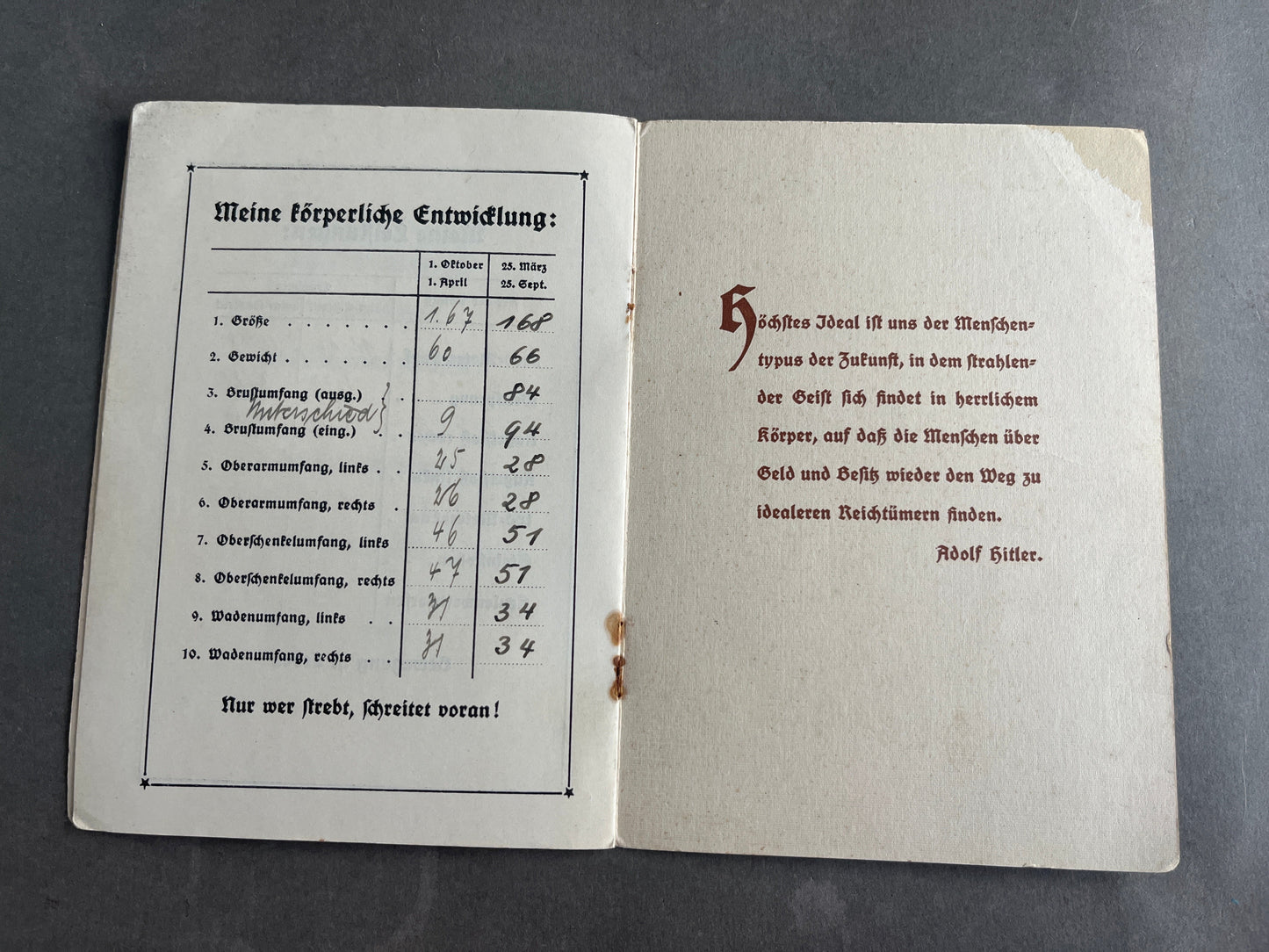 WW2 Tysk RAD "Leibes Erziehung" Medlemsbog. Original.