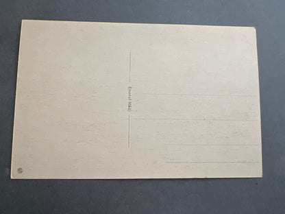 WW2 Dansk Postkort med foto af grænsen ved Krusaa. Original