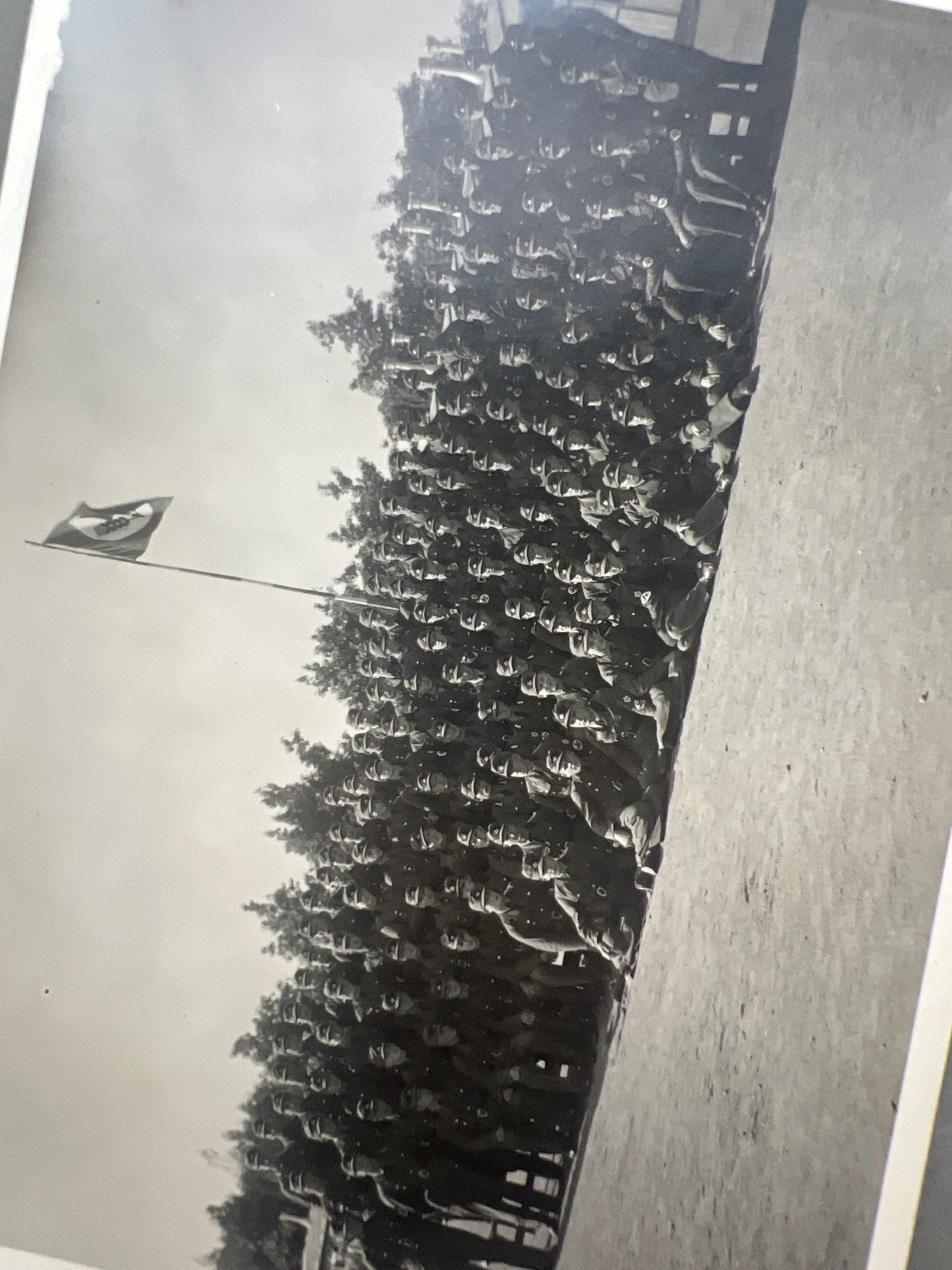 WW2 Tysk RAD Foto. Original.