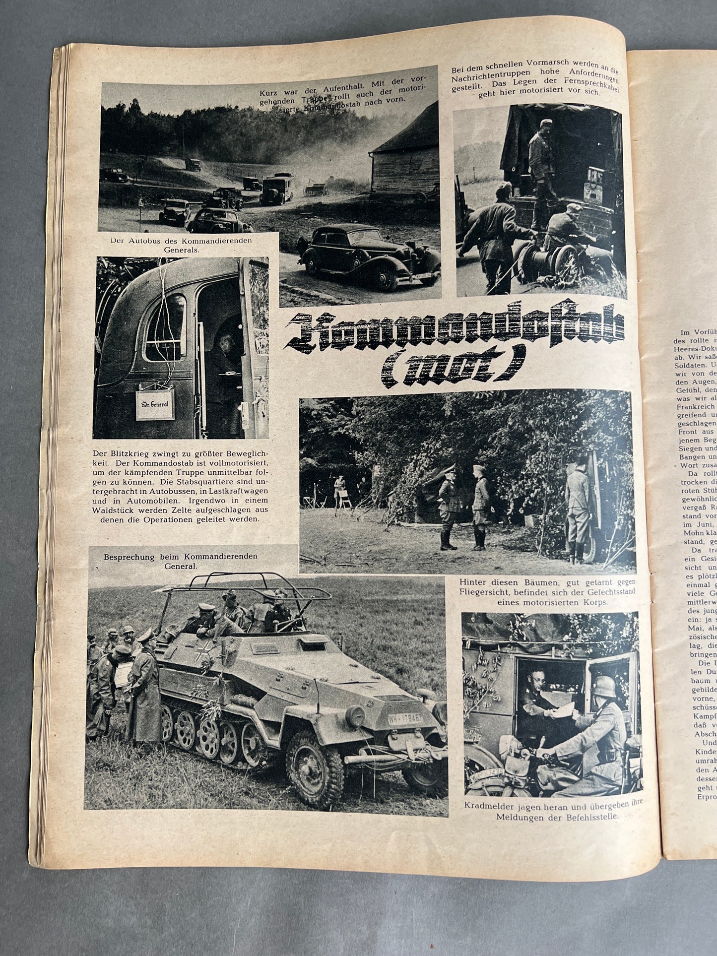 WW2 Tysk "Sieg im Westen" Blad. Stor, større end Signal Blade. Ses ikke tit. Original.