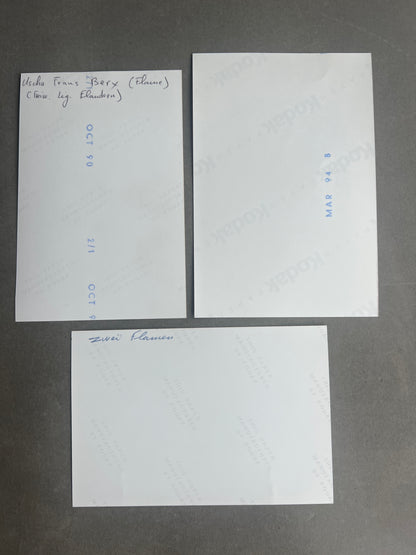 WW2 Tysk Waffen-SS Frivillige fra Belgien/Flandern. Ridderkors modtagere. Navne bagpå. Genoptryk.