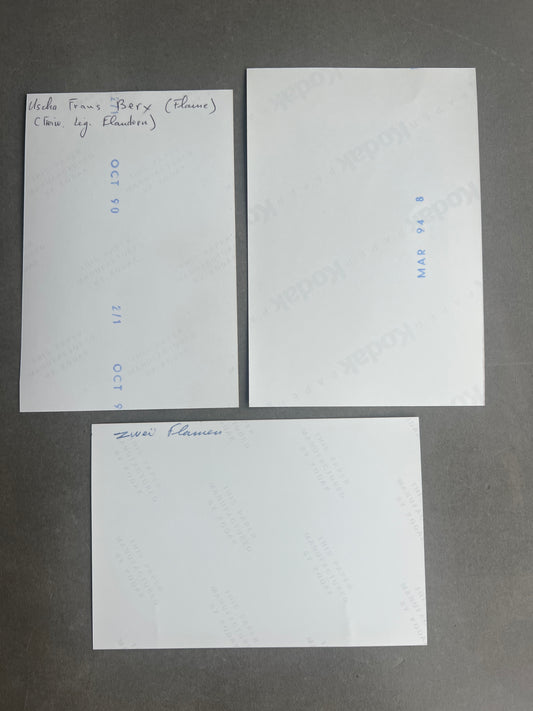 WW2 Tysk Waffen-SS Frivillige fra Belgien/Flandern. Ridderkors modtagere. Navne bagpå. Genoptryk.