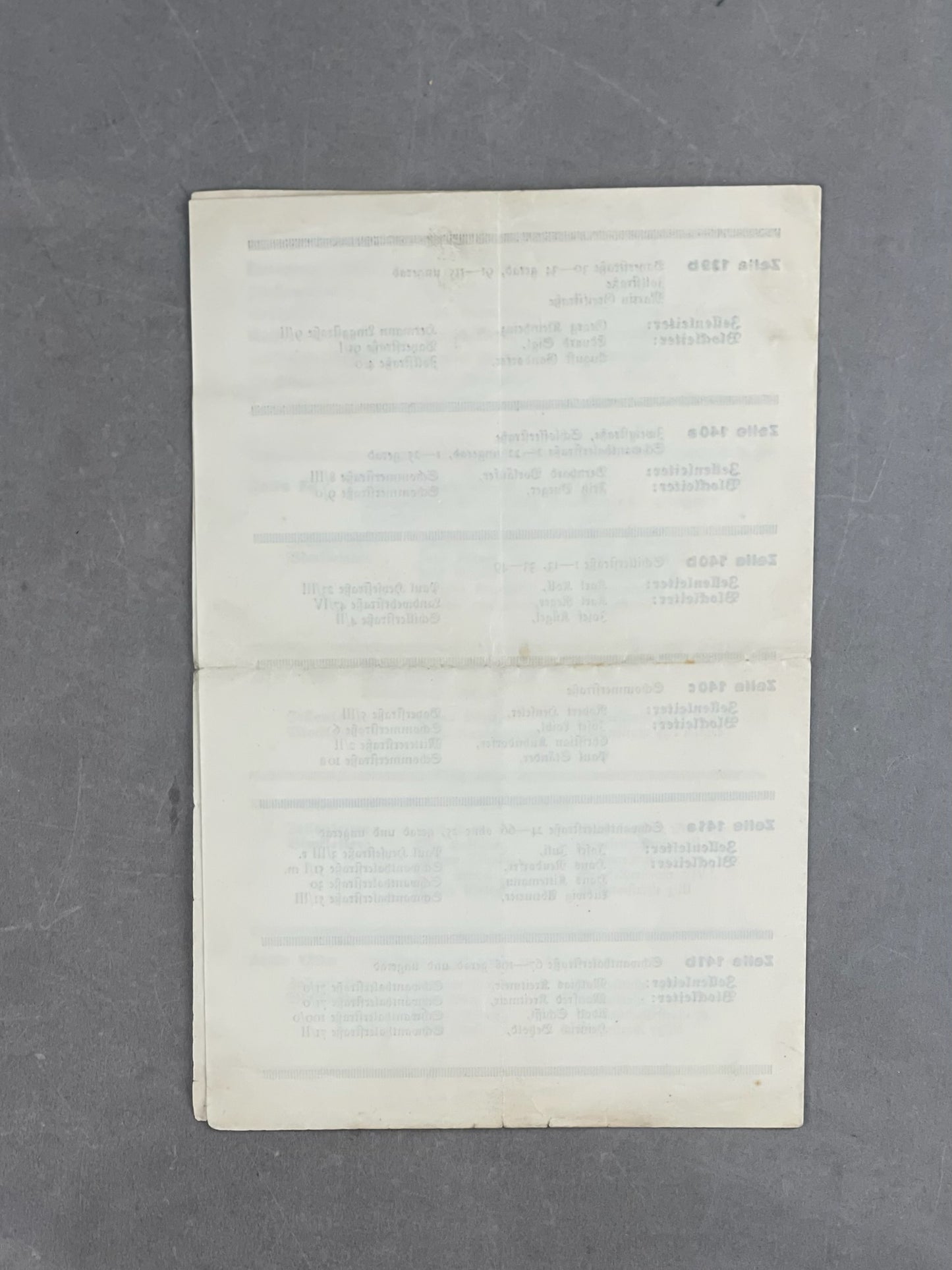 WW2 Tysk NSDAP Medlems hæfte/pjece. Original.