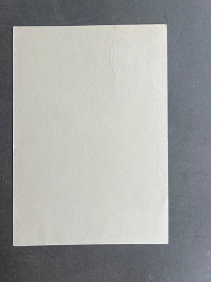 WW2 Tysk SA Postkort. Original.