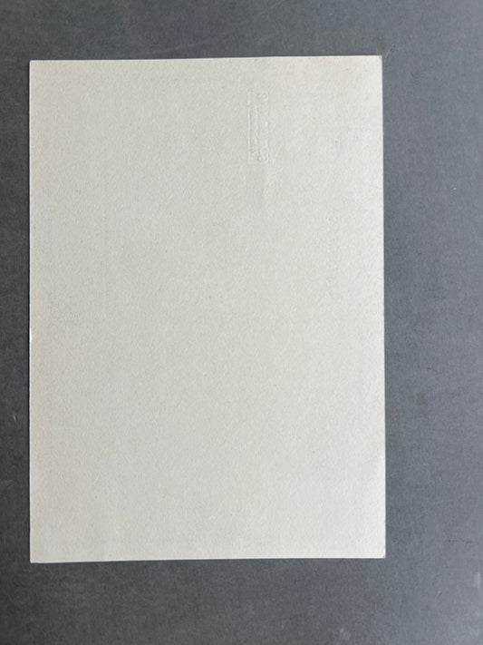 WW2 Tysk SA Postkort. Original.