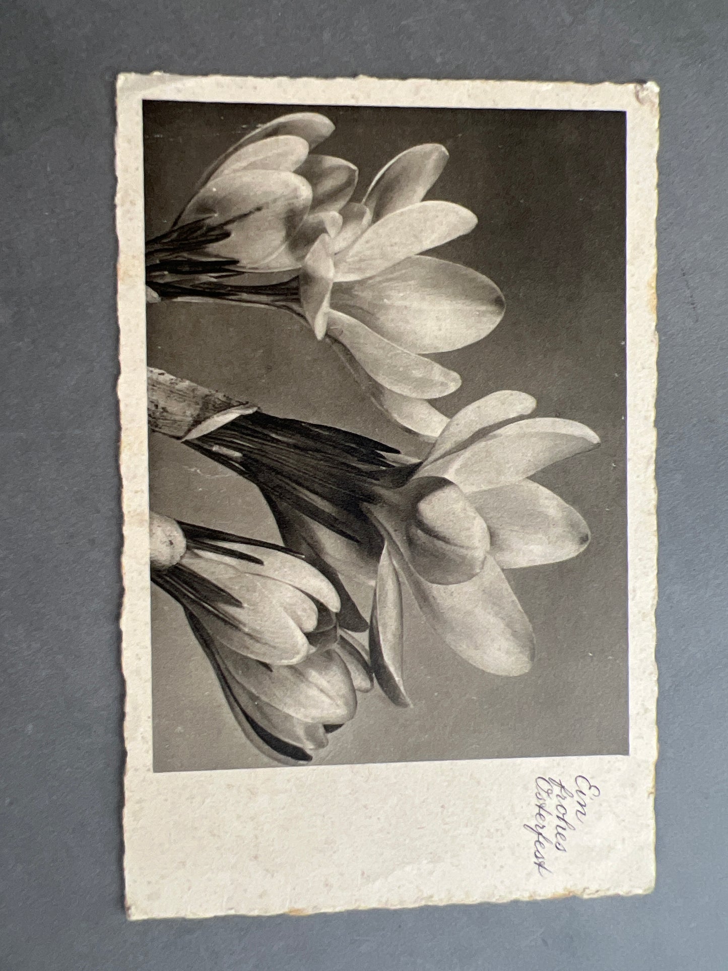 WW2 Tysk Feldpost. Original.