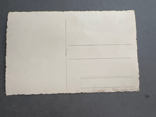 WW2 Tysk Wehrmacht Foto-postkort. Med medalje. Original.