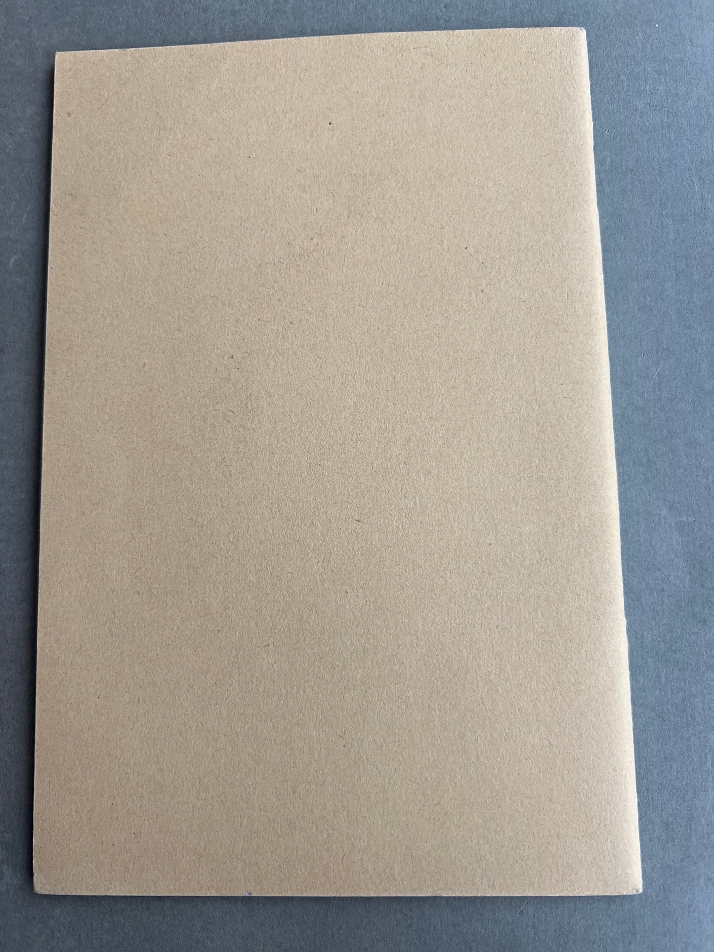 WW2 Tysk NSDAP "Ahnenpass". Sjælden. Original.