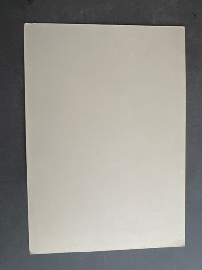 WW2 Tysk NSDAP Postkort. Original.