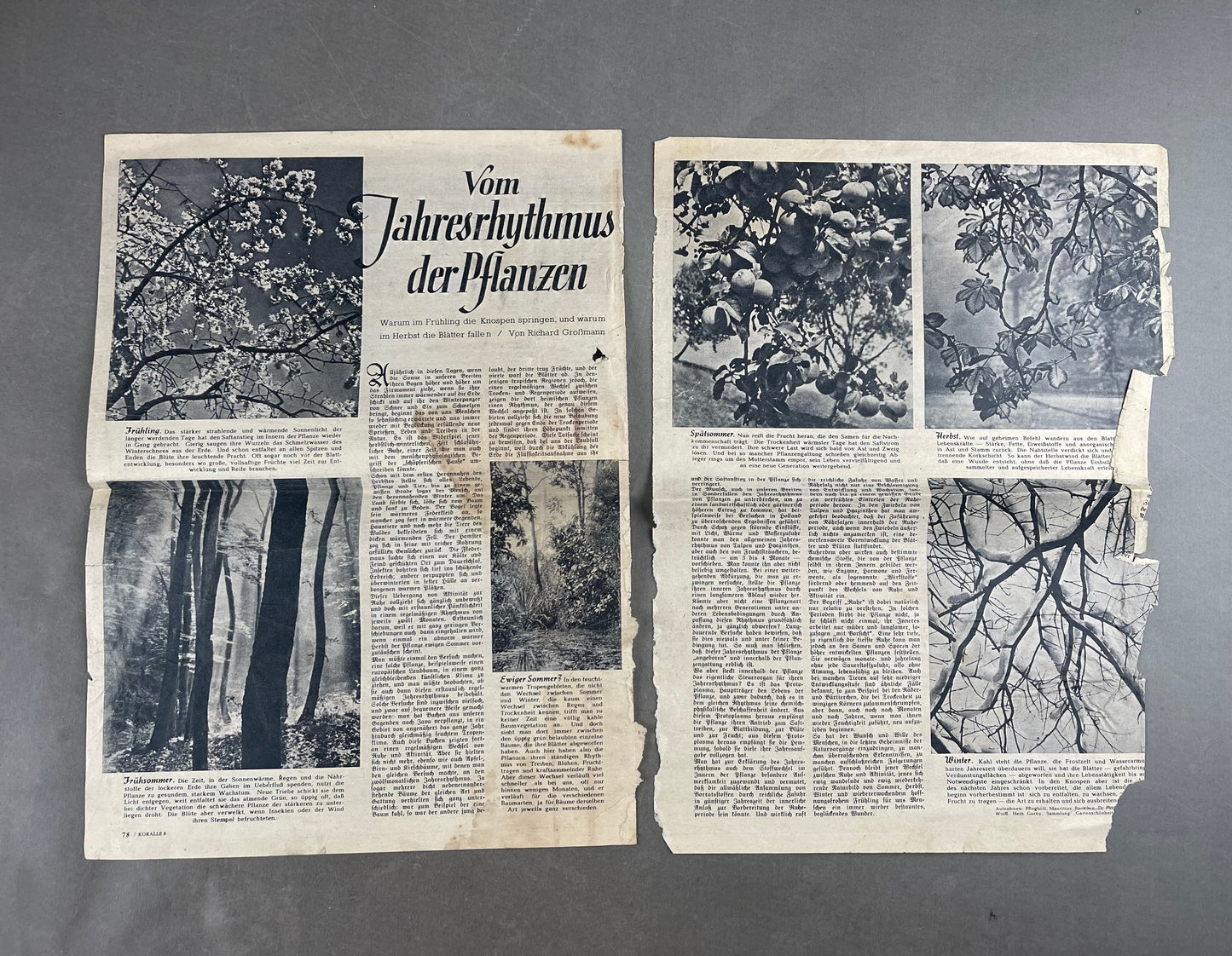 WW2 Tysk "Ritterkreuzträger" lille avis/pjece. Original.