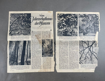 WW2 Tysk "Ritterkreuzträger" lille avis/pjece. Original.