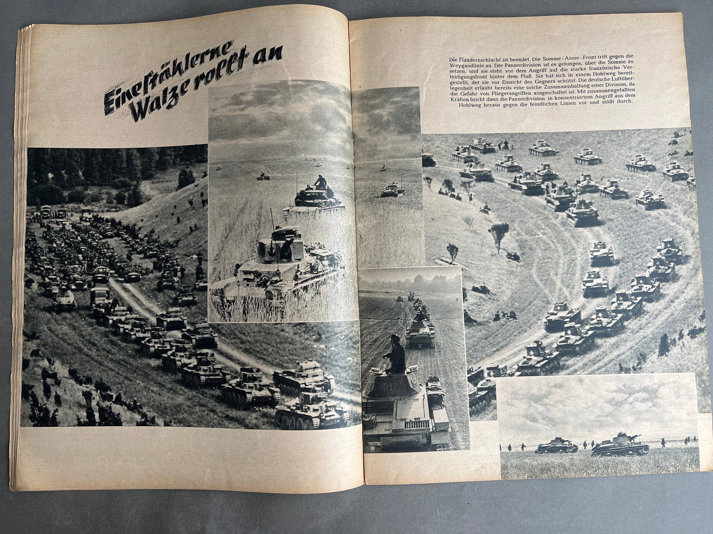 WW2 Tysk "Sieg im Westen" Blad. Stor, større end Signal Blade. Ses ikke tit. Original.