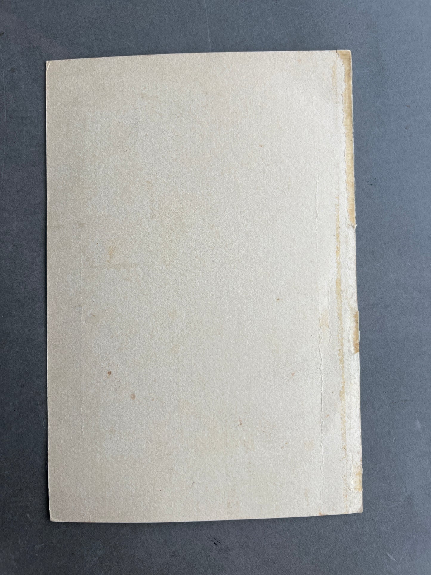 WW2 Dansk Politibetjent Foto. Original.