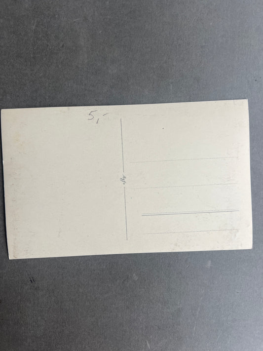 WW2 Tysk Wehrmacht Gebirgsjäger Foto-Postkort. Original.