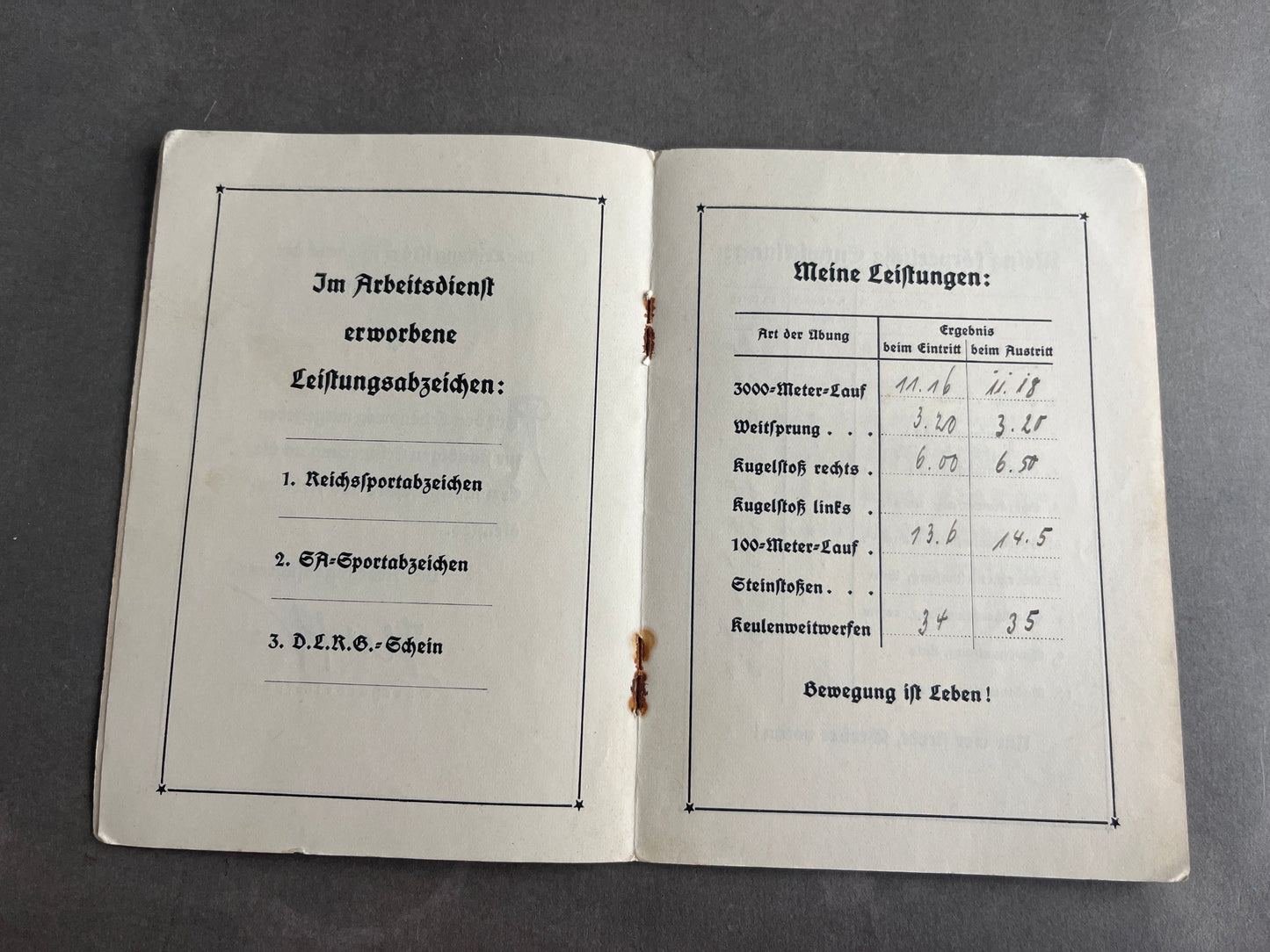 WW2 Tysk RAD "Leibes Erziehung" Medlemsbog. Original.