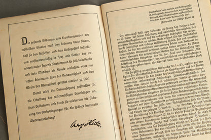 WW2 Tysk NSDAP "Ahnenpass" (Stamtavle pas). Original