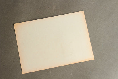 WW2 Tysk NSDAP Frimærke/postkort i anledning af Polens besættelse. Ses ikke tit. Original.