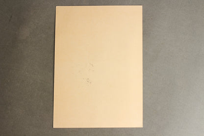 WW2 Tysk "RdP" (Reichsbund der Philatelisten) Frimærke på samler-ark. Med Panzer stempel. Sjælden. Original.