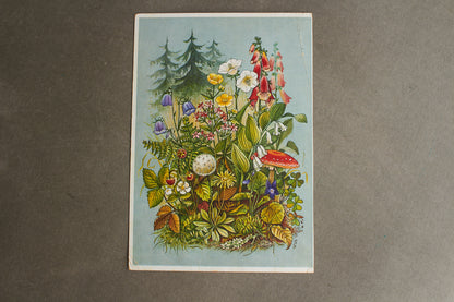 WW2 Tysk Postkort. Original.