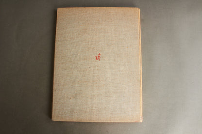 WW2 Tysk/Dansk Nazistisk udgivelse "Moderne Tysk Arkitektur". En af de bedre. A4-størrelse. Original.