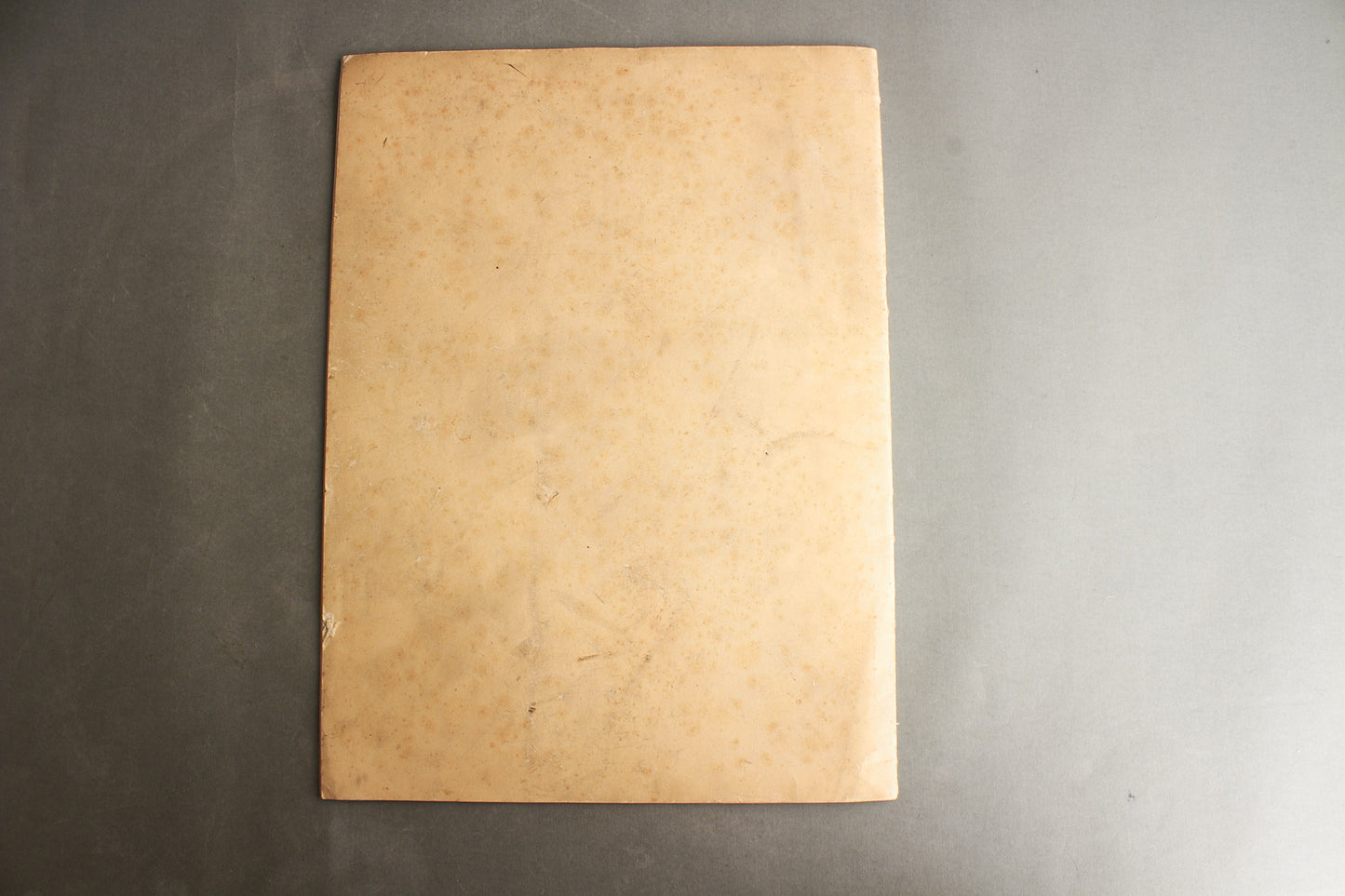 WW2 Tysk DAF Blad (På størrelse med Signal Blad / A3 størrelse). Original.