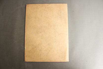 WW2 Tysk DAF Blad (På størrelse med Signal Blad / A3 størrelse). Original.
