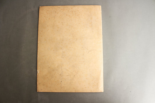 WW2 Tysk DAF Blad (På størrelse med Signal Blad / A3 størrelse). Original.