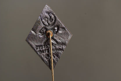 WW2 Tysk/Svensk "NSAP" (Nationalsocialistiska Arbetarepartiet) Landsting 1936 Tinnie. Se beskrivelse