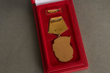 Østtysk DDR "Banner der Arbeit" medalje i æske. Original.