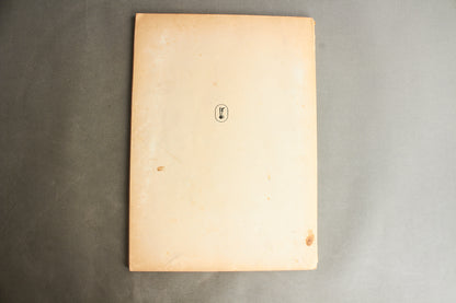 WW2 Dansk "Den Danske Kamp" fra befrielsen. Original.